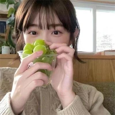 绿头苍蝇